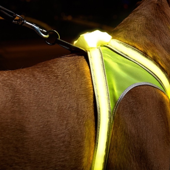 Noxgear | LightHound | Multi-Color Dog Light Harness | Medium | New in Box - Picture 3 of 16